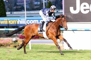 Zahspeed bolts in with powerful display at the Valley